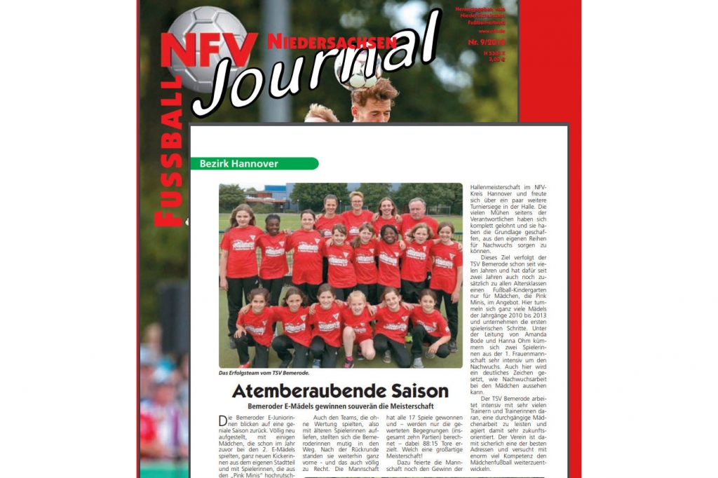 rrNFV Journal September 2018, Seite 44