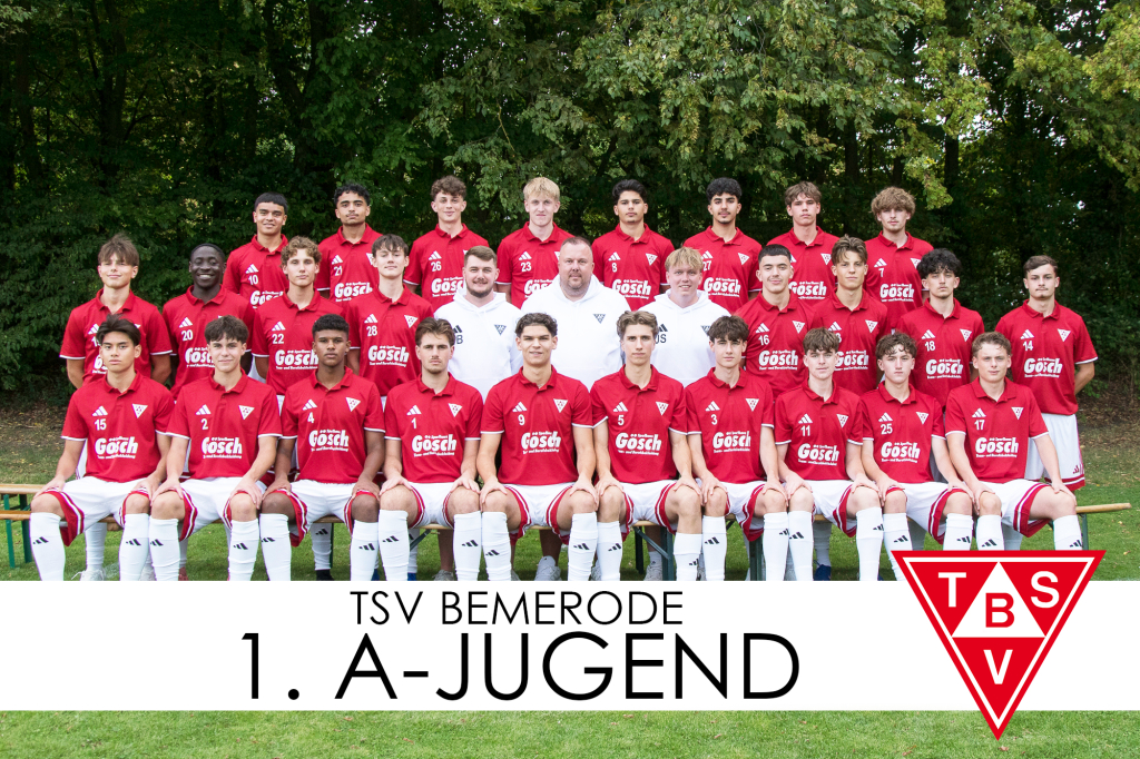 Bild zum Artikel