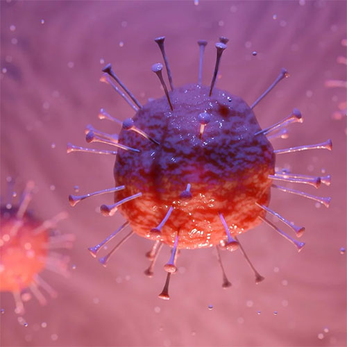 rrCorona befllt auch TT Blle